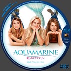 tn aquamarine bd